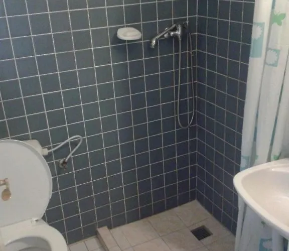 Gasthuis U Vejvodu 3*